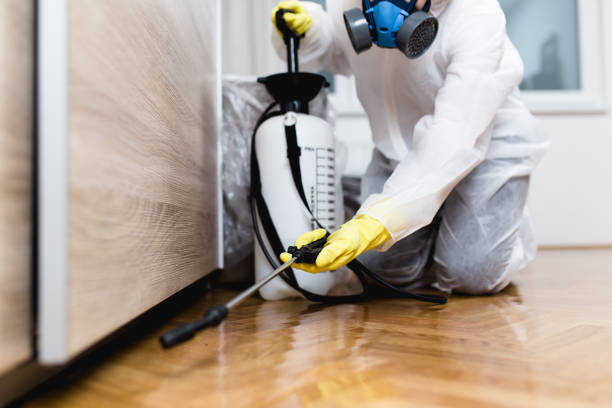Best Local Pest Control Services  in Burley, ID