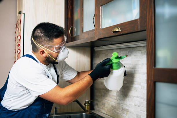 Best Bed Bug Extermination  in Burley, ID