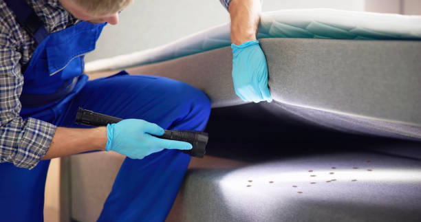 Best Mosquito Control Services  in Burley, ID