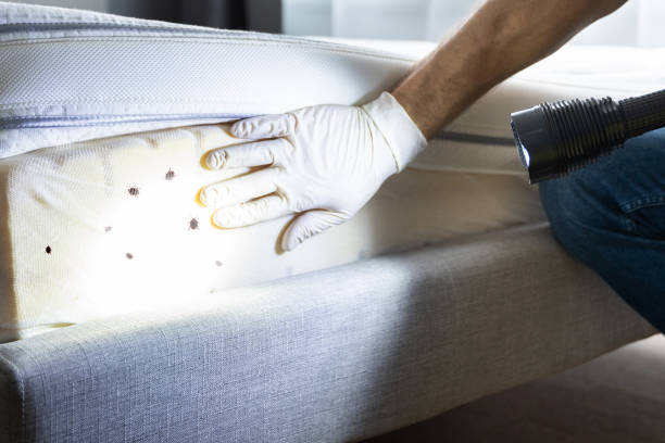Best Wildlife Control Services  in Burley, ID