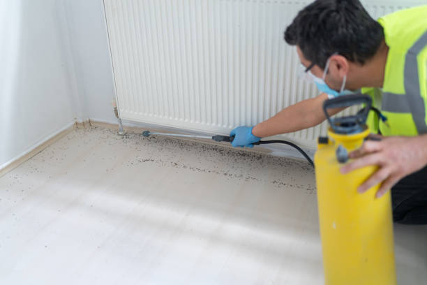Trusted Burley, ID Pest Control Experts